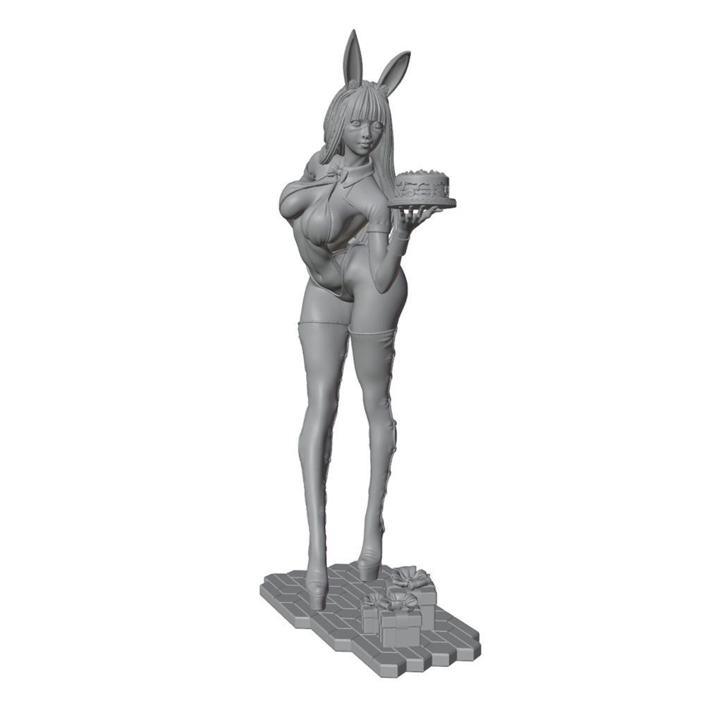 1/24/12/6 ホリデーパーティーテーマ バニーガールキ - 3D Printing And Additive Manufacturing のレビューと価格