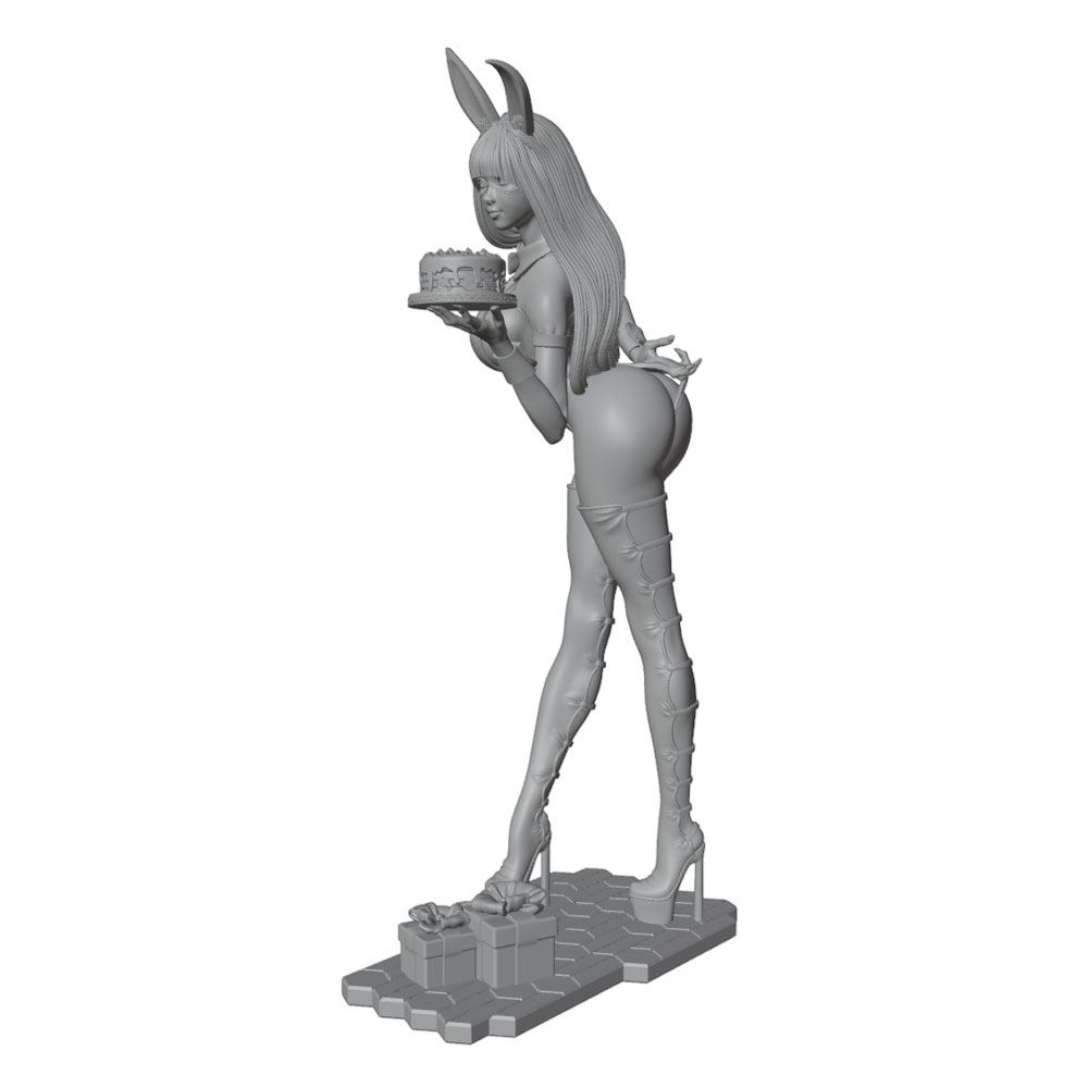 1/24/12/6 ホリデーパーティーテーマ バニーガールキ - 3D Printing And Additive Manufacturing のレビューと価格